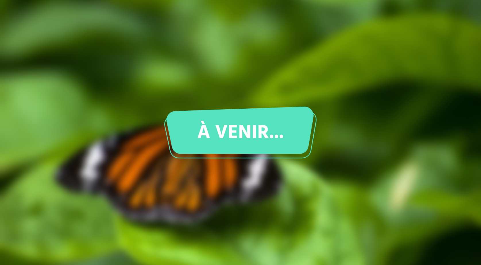 Miniatures Youtube (2) Agroalimentaire