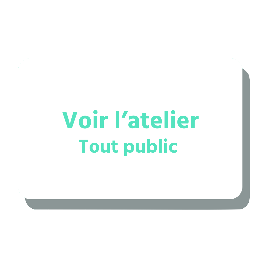 Atelier découverte métier collège